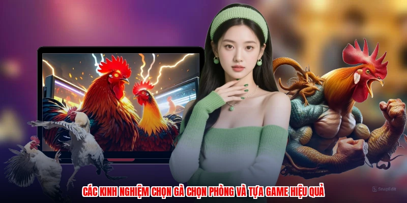 Các kinh nghiệm chọn gà chọn phòng và tựa game hiệu quả