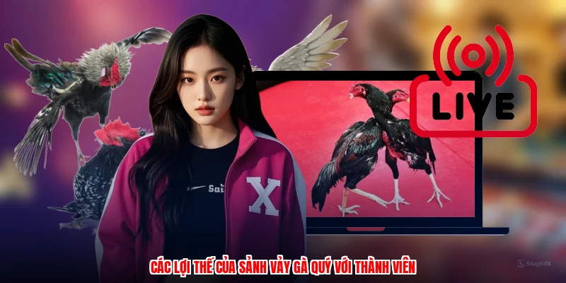 Các lợi thế của sảnh vảy gà quý với thành viên