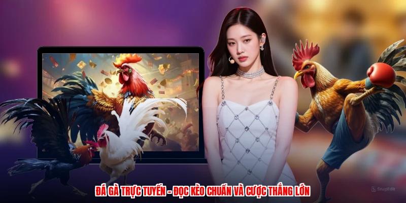 Đá Gà Trực Tuyến - Đọc Kèo Chuẩn Và Cược Thắng Lớn