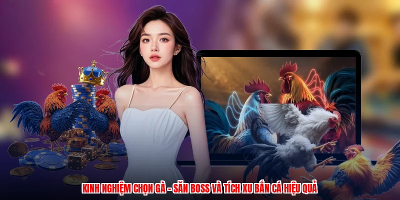 Kinh Nghiệm Chọn Gà - Săn Boss Và Tích Xu Bắn Cá Hiệu Quả