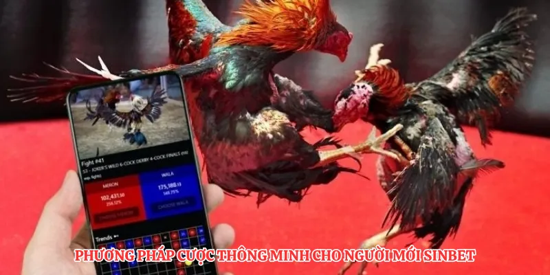 Phương pháp cược thông minh cho người mới SINBET
