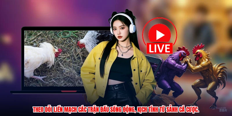 Theo dõi liền mạch các trận đấu sống động, kịch tính từ sảnh cá cược.