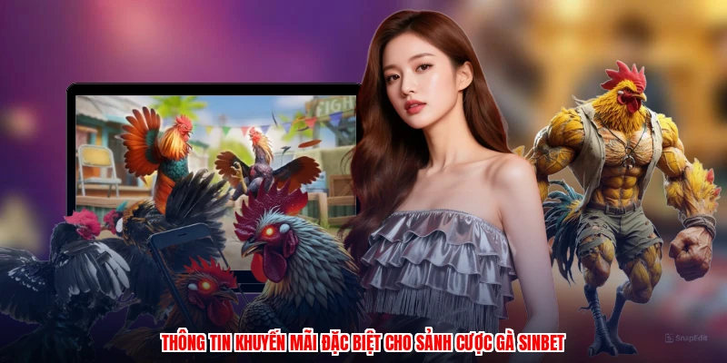 Thông tin khuyến mãi đặc biệt cho sảnh cược gà SINBET