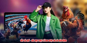 Vảy Gà Quý - Bài Học Thực Tế Khi Cược Đá Gà Bền Vững
