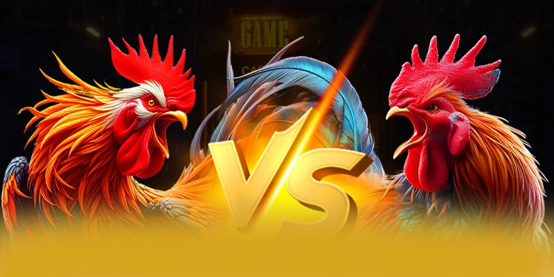 Nền tảng mọi lúc mọi nơi cùng 8XBET