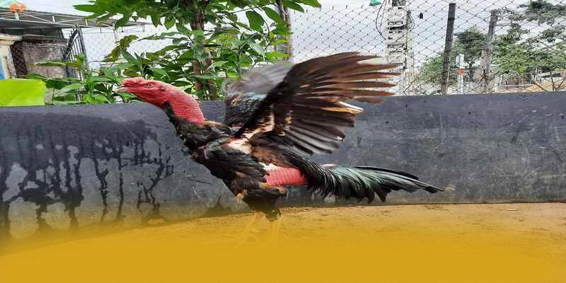 Hệ thống chăm sóc khách hàng tại BET168 Hệ thống chăm sóc khách hàng tại BET168
