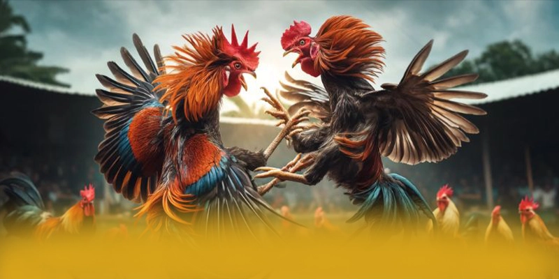 Giải đáp thắc mắc về SUNWIN Giải đáp thắc mắc về SUNWIN