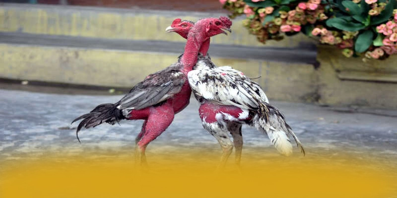 Phản hồi từ cộng đồng người chơi về SUNWIN Phản hồi từ cộng đồng người chơi về SUNWIN